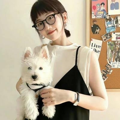 一笼傻鸟2